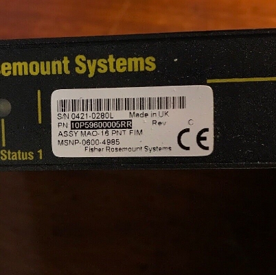 EMERSON Fisher Rosemount 10P59600005 Analog Output Module with 16 Points