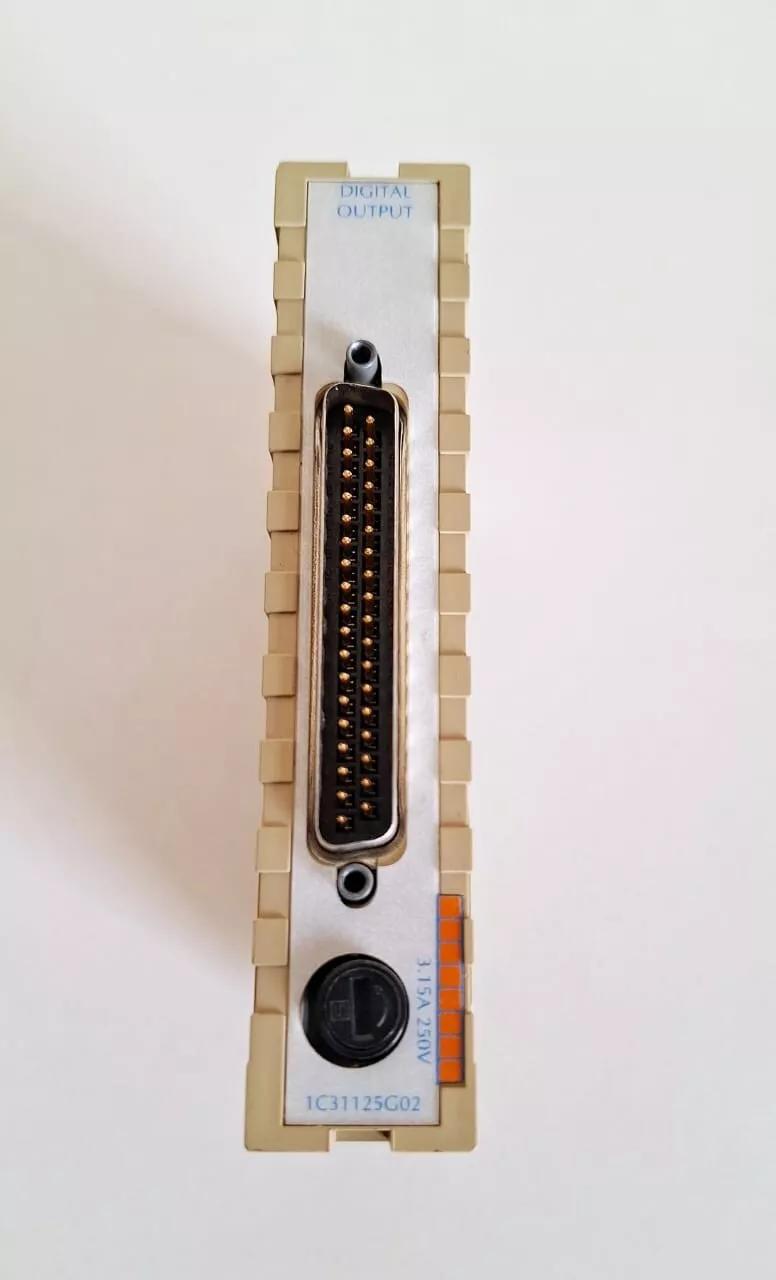 Westinghouse Digital Output Module 1C31125G01