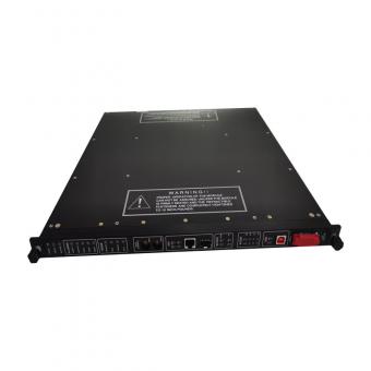 Triconex 9784-610 Analog Input Panel Overview