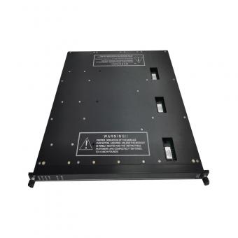 Triconex 8106 Empty Terminal Slot