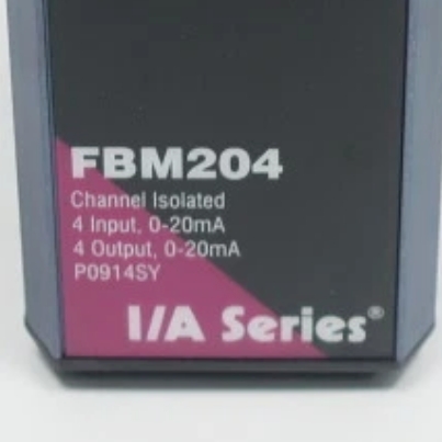 Foxboro FBM204 Input Module Overview