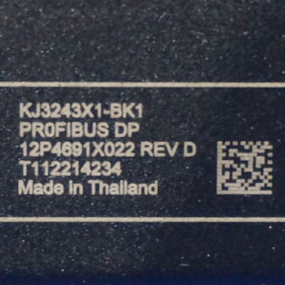 Emerson PROFIBUS DP Interface KJ3243X1-BK1 12P4691X032
