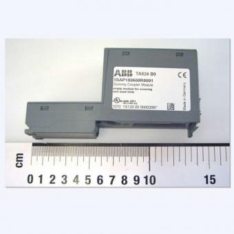 ABB TA524 1SAP180600R0001 Dummy Coupler Module Overview